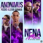 Anonimus Ft. Pusho, Alexio La Bestia, Juanka El Problematik - Nena Mala Remix