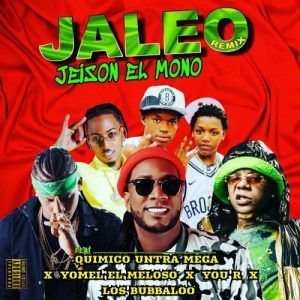 Jeison El Mono Ft. Quimico Ultra Mega, You R, Los Bubbaloo, Yomel El Meloso - Jaleo Remix
