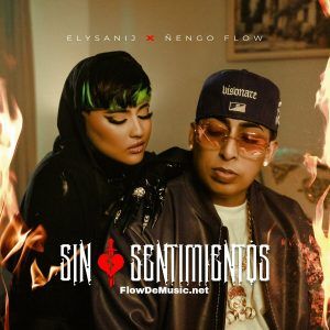 Elysanij, Ñengo Flow - Sin Sentimientos