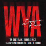 Tivi Gunz, Izaak, J Abdiel, Peiker, Shadow Blow, La Perversa, 3730, Lito Kirino - WYA, Dominican Remix