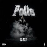 D.OZi - Pollo