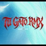 Vincez, Sael - Tu Gato Remix