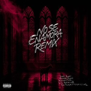 Juny June, Ñengo Flow, Novelton, Lil Geniuz, Integrityoficial - No Se Enamora Remix